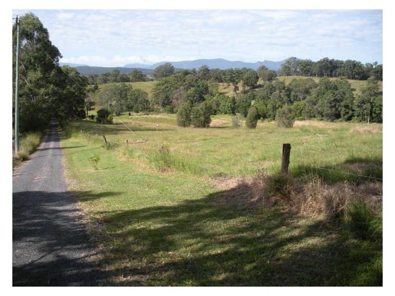 481 Pinnacle Road, Tyalgum NSW 2484