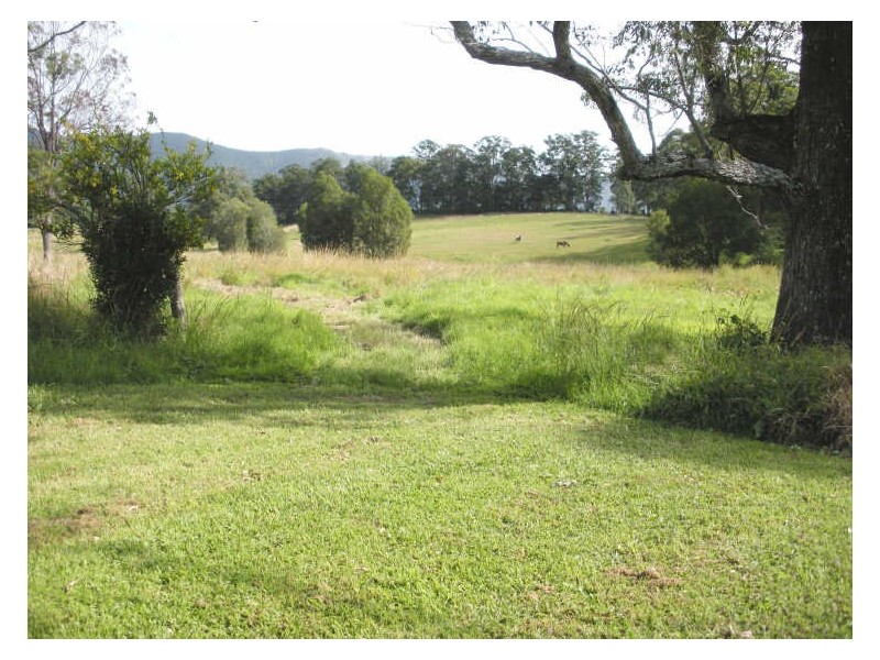 481 Pinnacle Road, Tyalgum NSW 2484