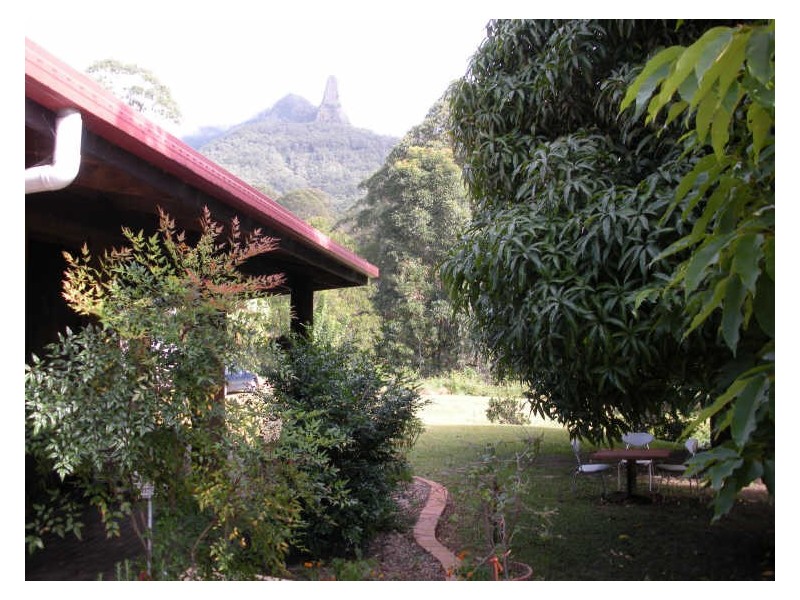 481 Pinnacle Road, Tyalgum NSW 2484