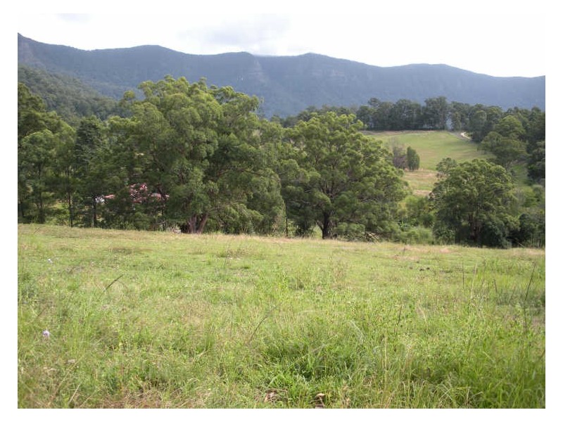 481 Pinnacle Road, Tyalgum NSW 2484