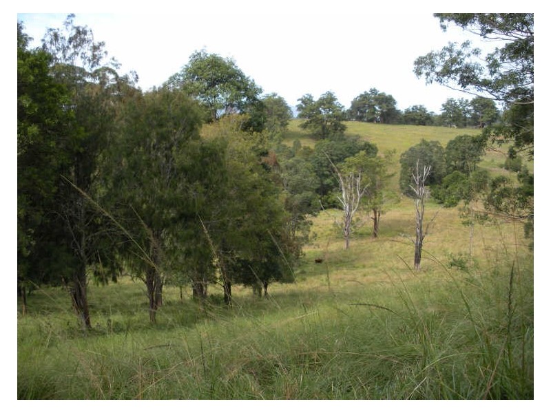 481 Pinnacle Road, Tyalgum NSW 2484