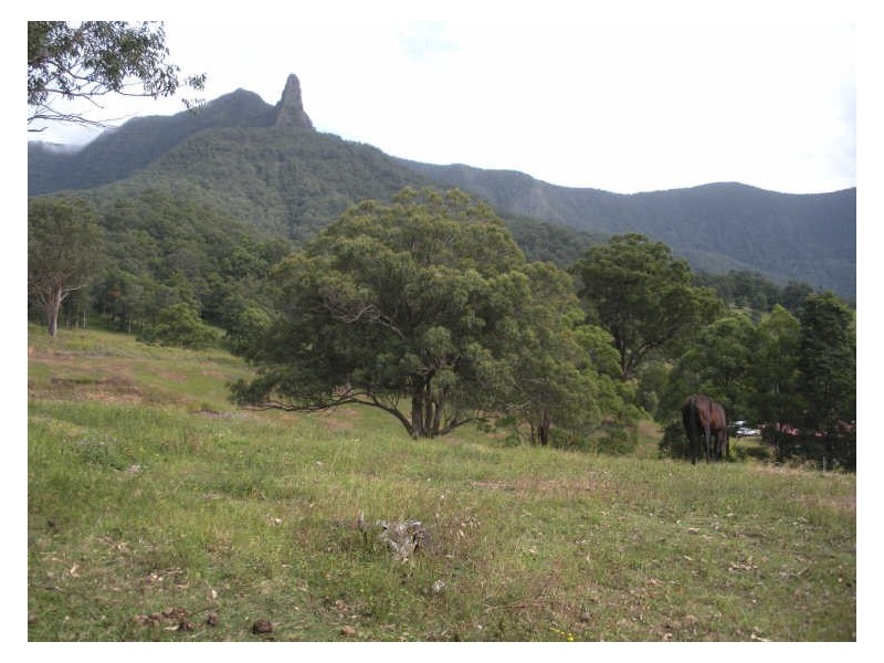 481 Pinnacle Road, Tyalgum NSW 2484