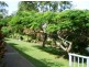 Murwillumbah NSW 2484
