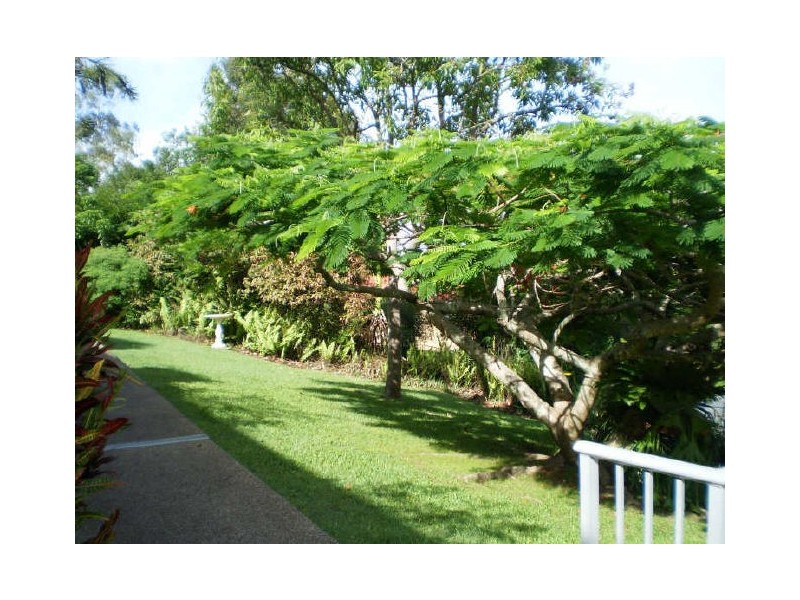 Murwillumbah NSW 2484