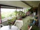 Murwillumbah NSW 2484