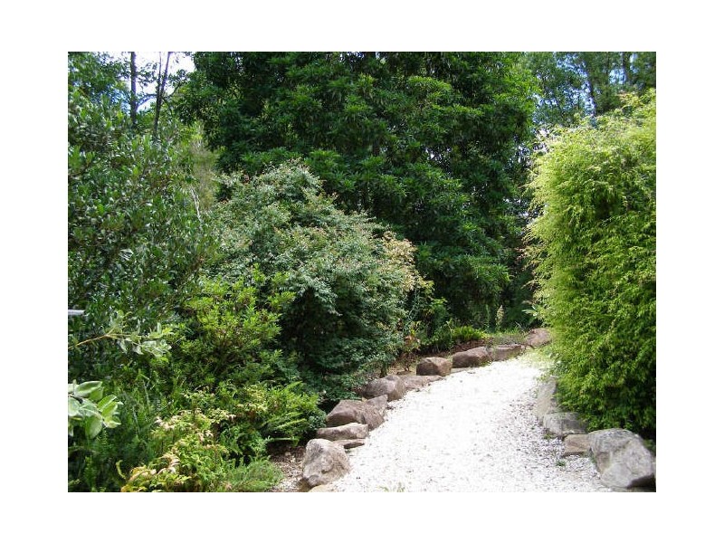 Murwillumbah NSW 2484