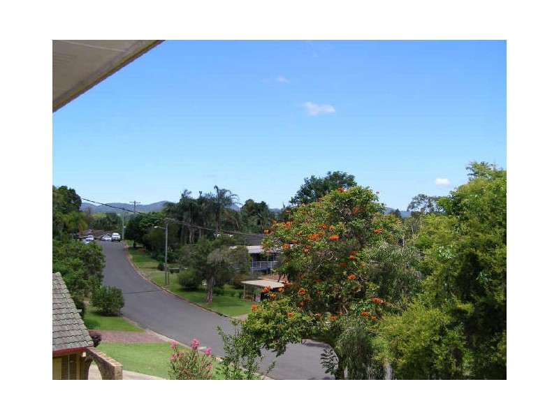 Murwillumbah NSW 2484