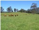 914 Brays Creek Road, Tyalgum NSW 2484