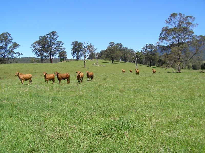 914 Brays Creek Road, Tyalgum NSW 2484