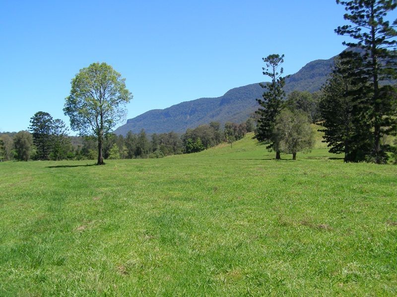 914 Brays Creek Road, Tyalgum NSW 2484