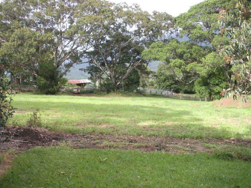 914 Brays Creek Road, Tyalgum NSW 2484