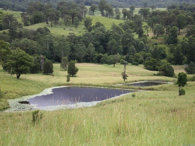 914 Brays Creek Road, Tyalgum NSW 2484