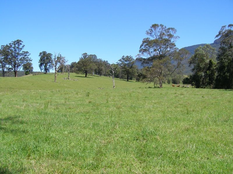 914 Brays Creek Road, Tyalgum NSW 2484