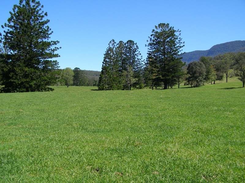 914 Brays Creek Road, Tyalgum NSW 2484