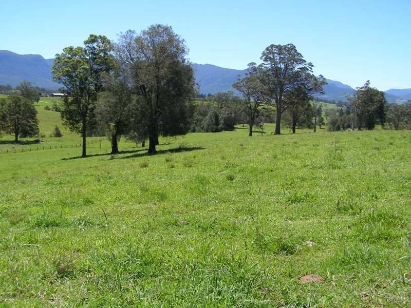 914 Brays Creek Road, Tyalgum NSW 2484