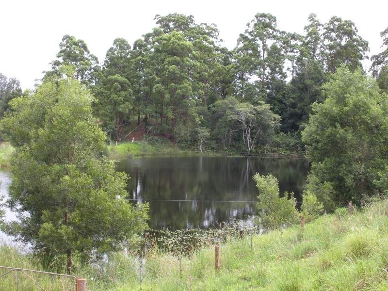 914 Brays Creek Road, Tyalgum NSW 2484