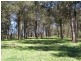 914 Brays Creek Road, Tyalgum NSW 2484