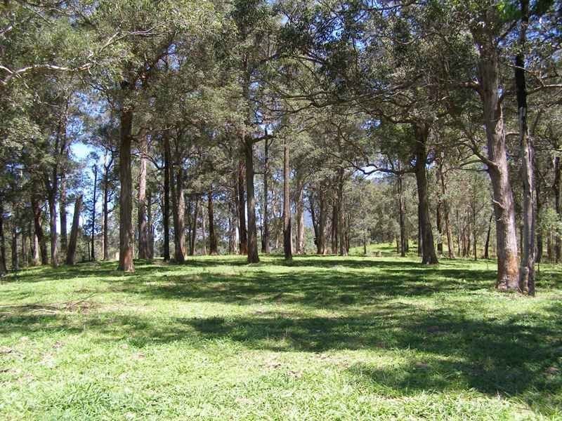914 Brays Creek Road, Tyalgum NSW 2484