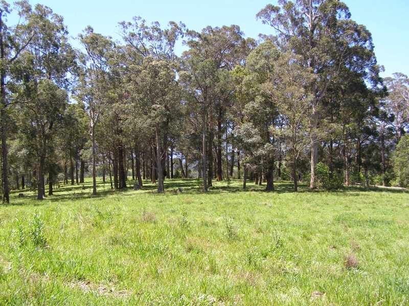 914 Brays Creek Road, Tyalgum NSW 2484