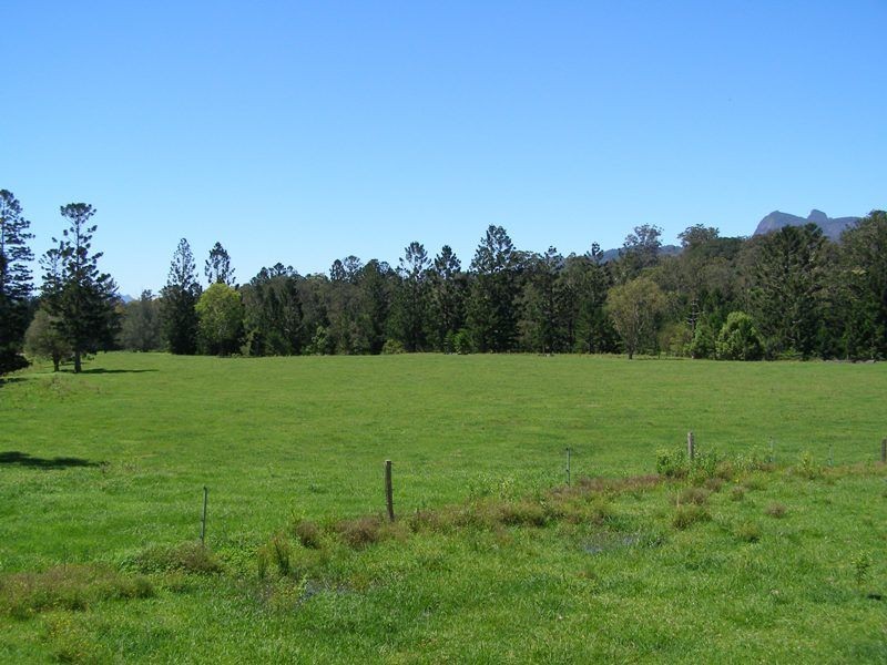 914 Brays Creek Road, Tyalgum NSW 2484