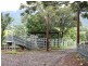 914 Brays Creek Road, Tyalgum NSW 2484