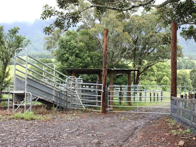 914 Brays Creek Road, Tyalgum NSW 2484