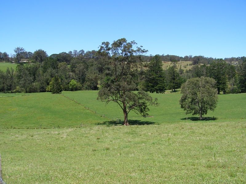 914 Brays Creek Road, Tyalgum NSW 2484