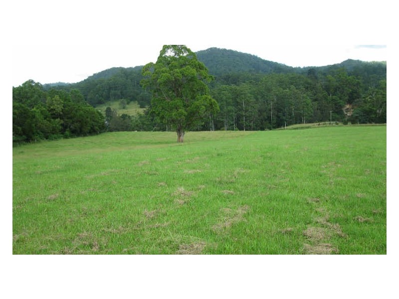 820 Williams Road, Barkers Vale NSW 2474
