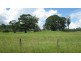 820 Williams Road, Barkers Vale NSW 2474
