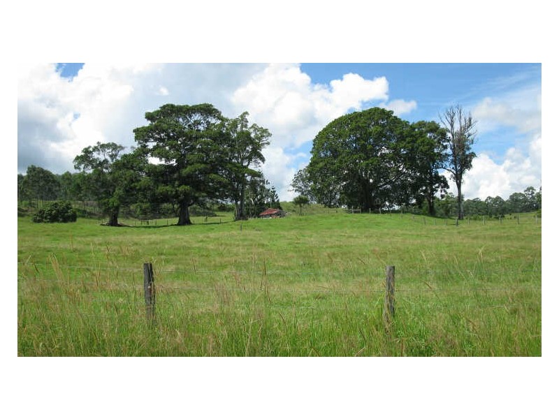 820 Williams Road, Barkers Vale NSW 2474