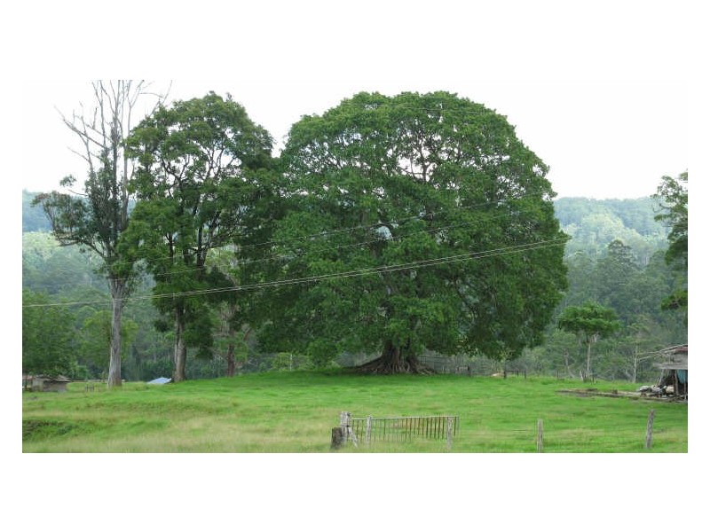 820 Williams Road, Barkers Vale NSW 2474