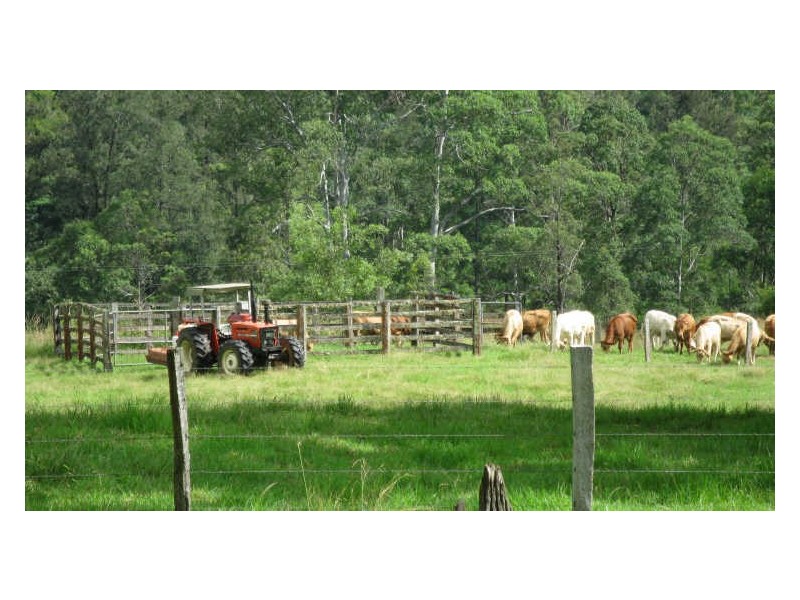 820 Williams Road, Barkers Vale NSW 2474