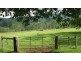 820 Williams Road, Barkers Vale NSW 2474