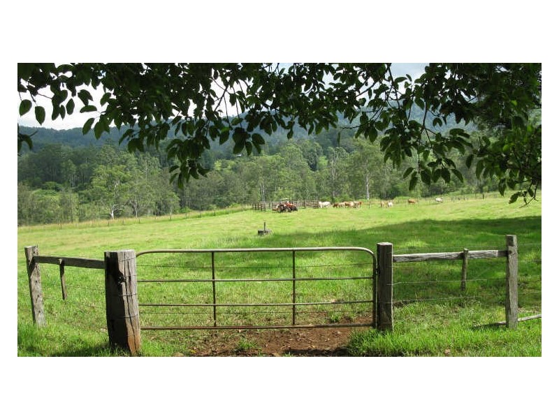 820 Williams Road, Barkers Vale NSW 2474