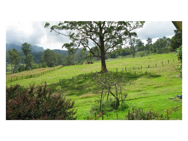 820 Williams Road, Barkers Vale NSW 2474
