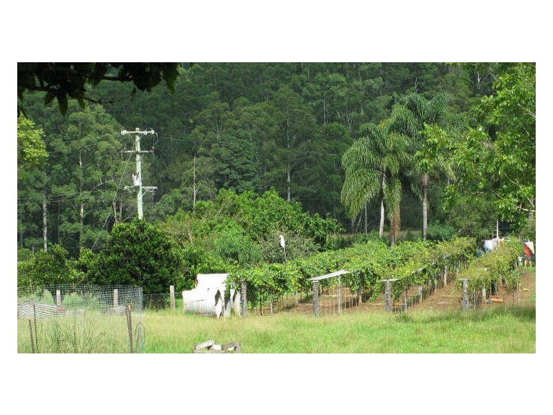 820 Williams Road, Barkers Vale NSW 2474
