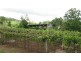 820 Williams Road, Barkers Vale NSW 2474
