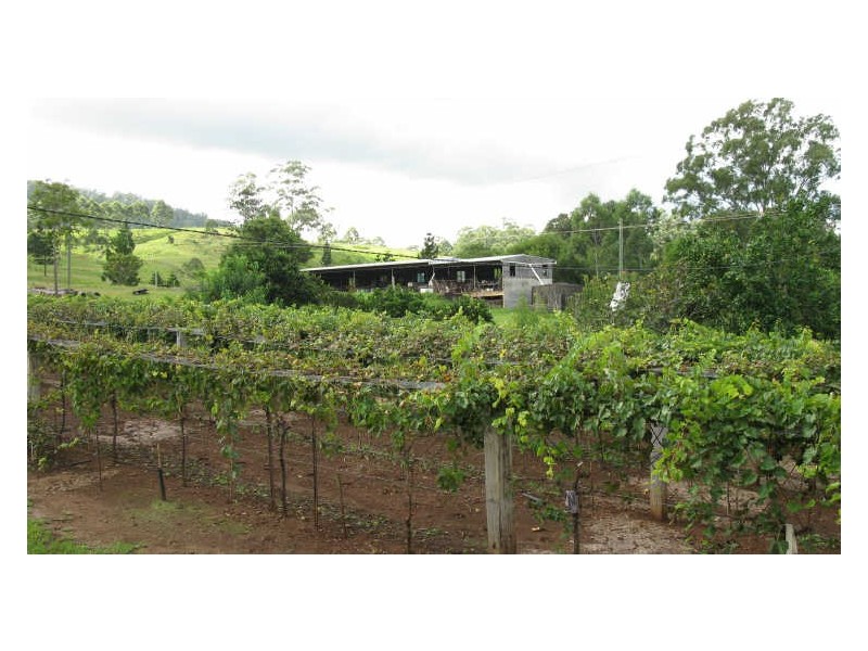 820 Williams Road, Barkers Vale NSW 2474