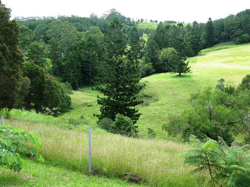 107 Milgate Road, Blue Knob NSW 2480