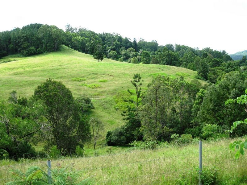 107 Milgate Road, Blue Knob NSW 2480