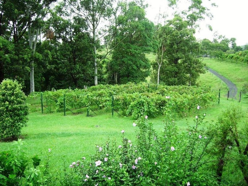 107 Milgate Road, Blue Knob NSW 2480