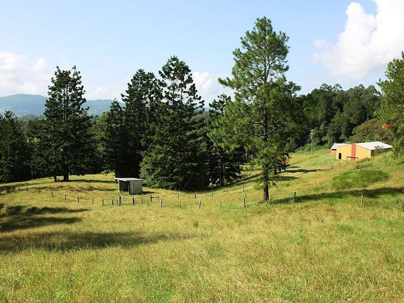 107 Milgate Road, Blue Knob NSW 2480