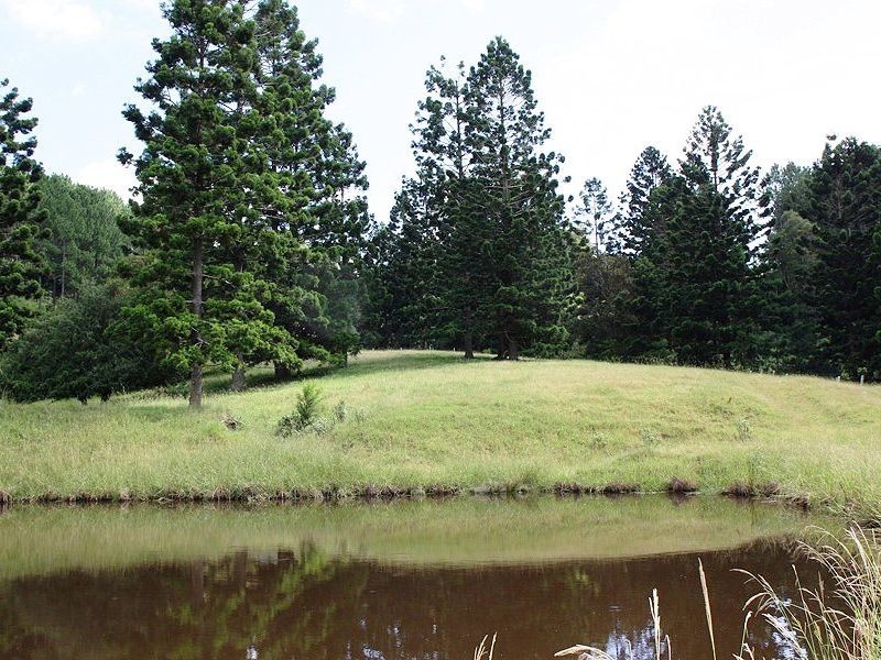 107 Milgate Road, Blue Knob NSW 2480