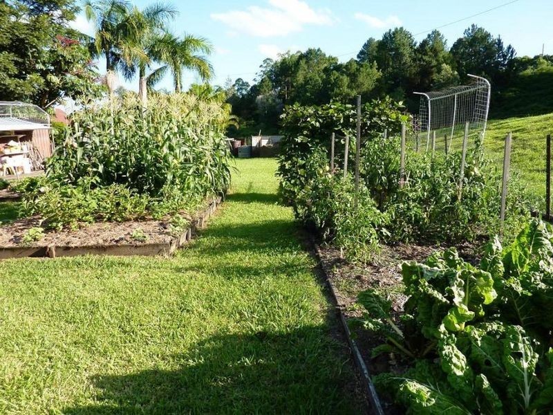 107 Milgate Road, Blue Knob NSW 2480