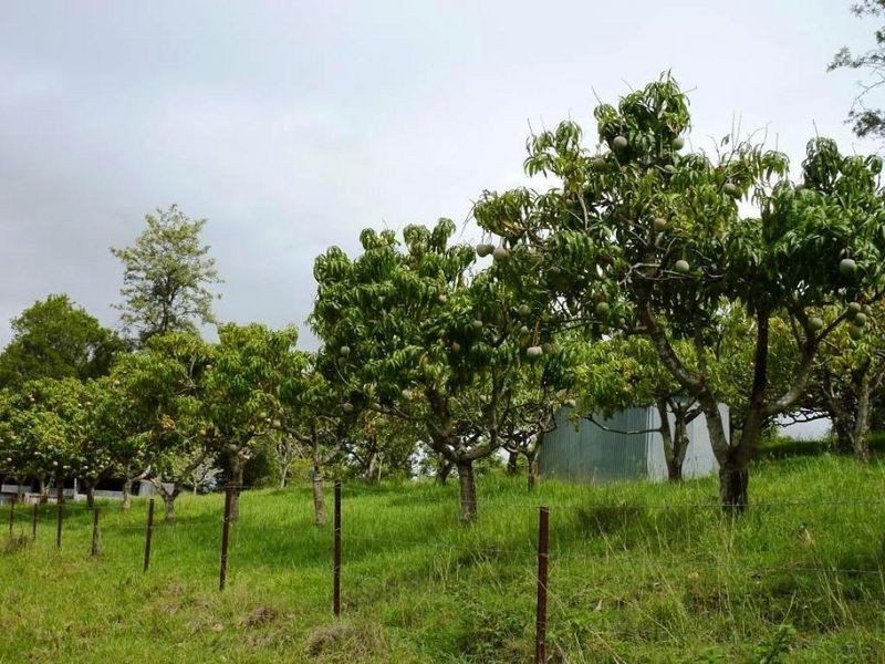 107 Milgate Road, Blue Knob NSW 2480