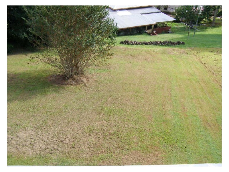 123 Byangum Rd, Murwillumbah NSW 2484