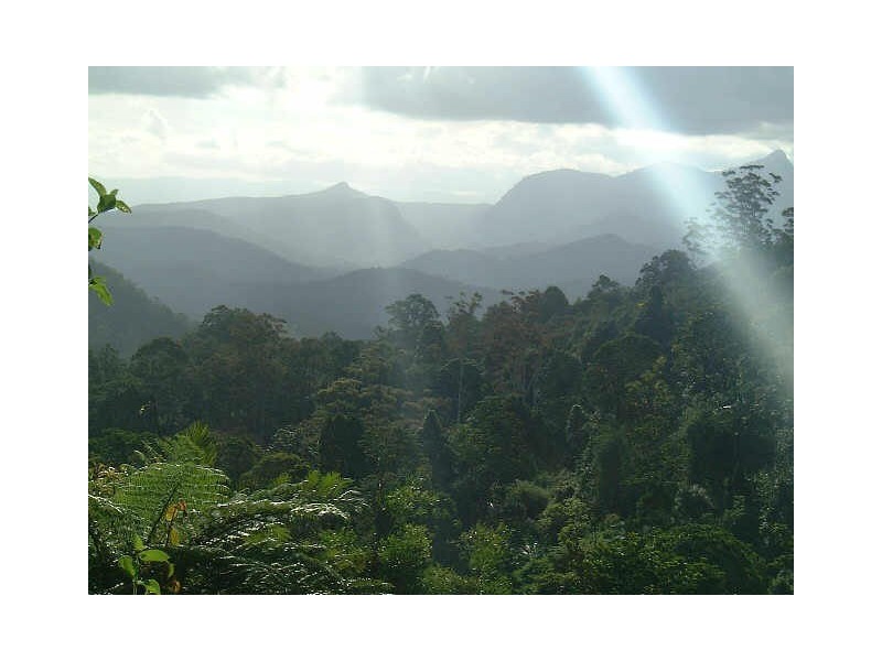 Commissioners Creek NSW 2484