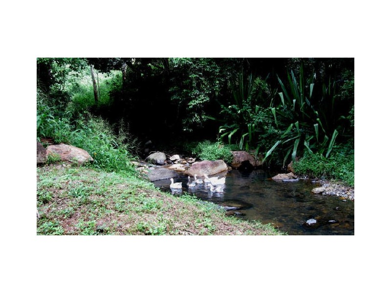 Commissioners Creek NSW 2484