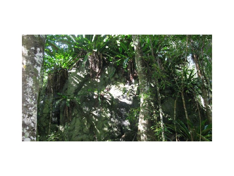 Commissioners Creek NSW 2484