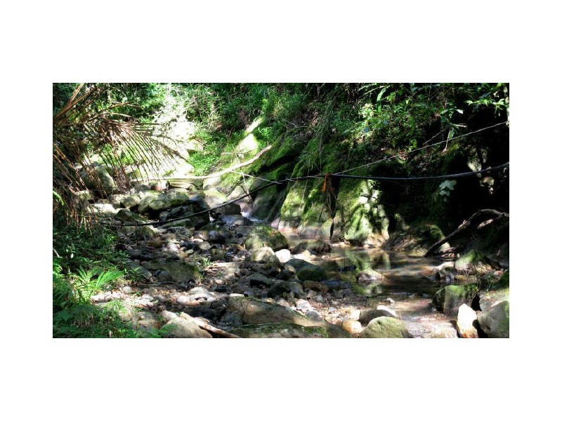 Commissioners Creek NSW 2484